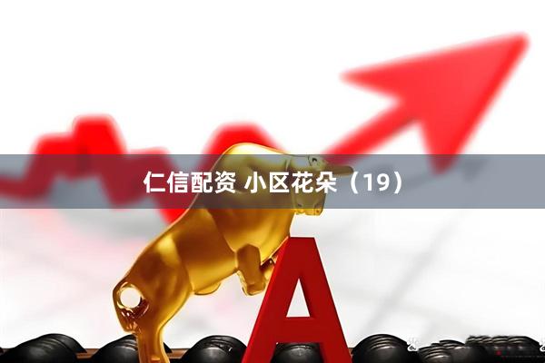 仁信配资 小区花朵（19）